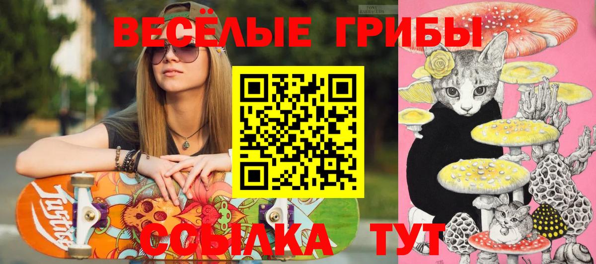 магазин продажи наркотиков  Вход с VPN  Улан-Удэ  Псилоцибиновые грибы Cubensis 